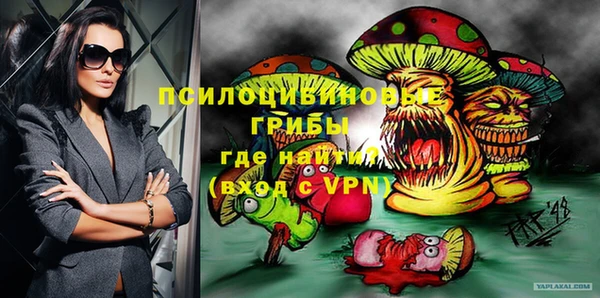 соль ск Гусиноозёрск