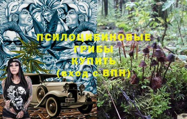 мет Горно-Алтайск