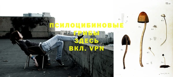 мет Горно-Алтайск