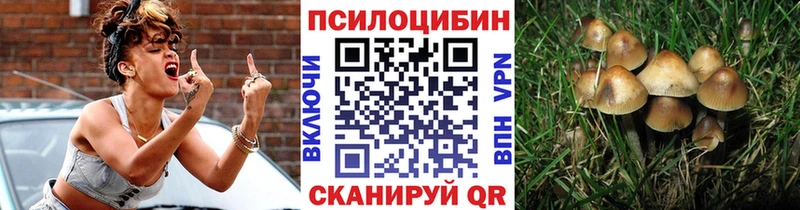 Галлюциногенные грибы Magic Shrooms  Купить закладки  Орёл 